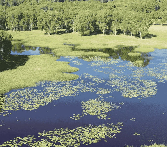 Greening_Australia_Reef_Aid_Credit_Toby_Peet_Style_Salon