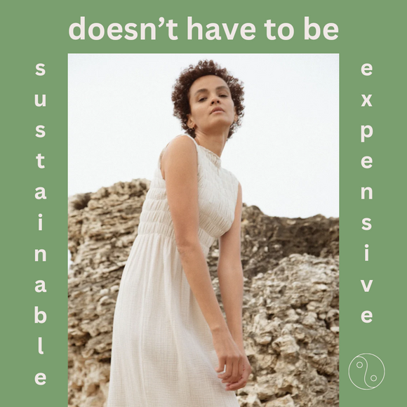 Style society sustainable doesn t have to be expensive