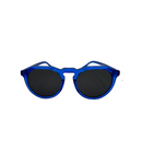 Blue frame polarized sunglasses